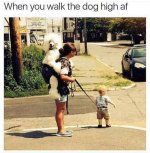 dog walking 101 .jpg
