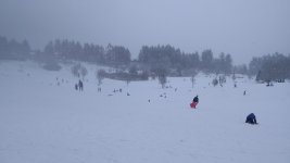 Ski hill park .jpg