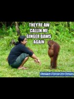 Ginger Baws .jpg