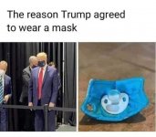 Trumps Mask .jpg