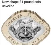 New pound coin.jpg