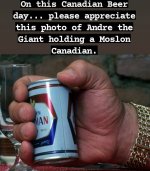 Molson Canadian beer can.jpg