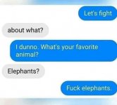 Elephants fight.jpg