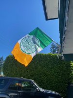 Celtic flag in the breeze  (35).jpeg