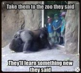 take them to the zoo.jpg