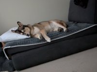 PXL_20251108_150518910.NIGHT.jpg
