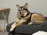 Georgia posing .jpg