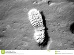 footprint-moon-8934887.jpg