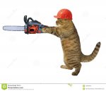 cat-builder-holding-chainsaw-white-background-cat-builder-chainsaw-123433418.jpg