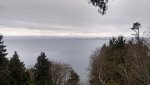 The lookout over to the Gulf Islands.jpg