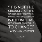 Charles-Darwin-Quotes-5-min-800x800.jpg